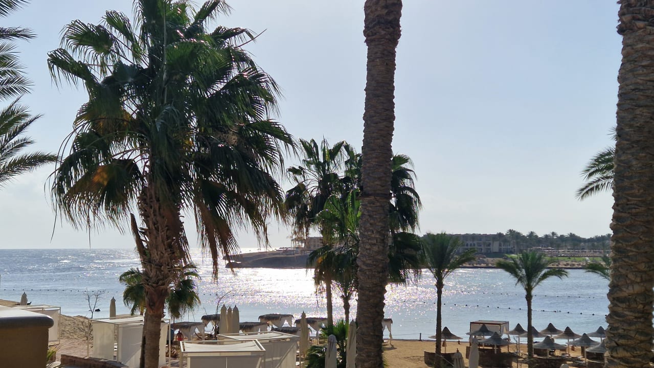 Strand Steigenberger Coraya Beach - Adults only