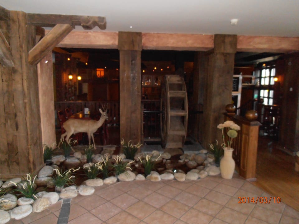 Hotel wewnątrz Hotel Żubrówka Białowieża