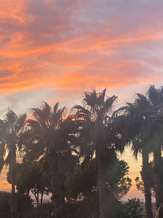 Ausblick Justiniano Park Conti