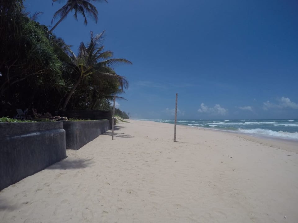 Strand Hotel Haus am Meer Wilde Ananas
