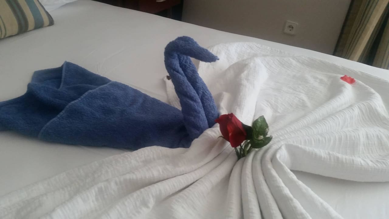 Überraschung der Putzfrau Hotel Meryan