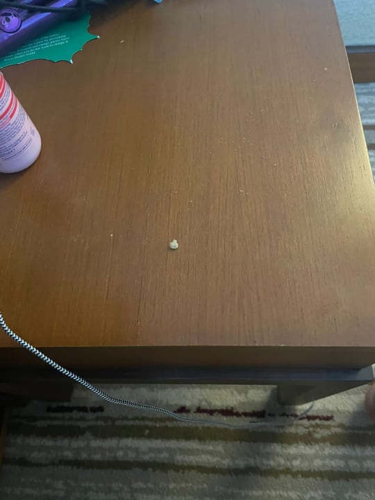 Zimmer Rixos Sungate