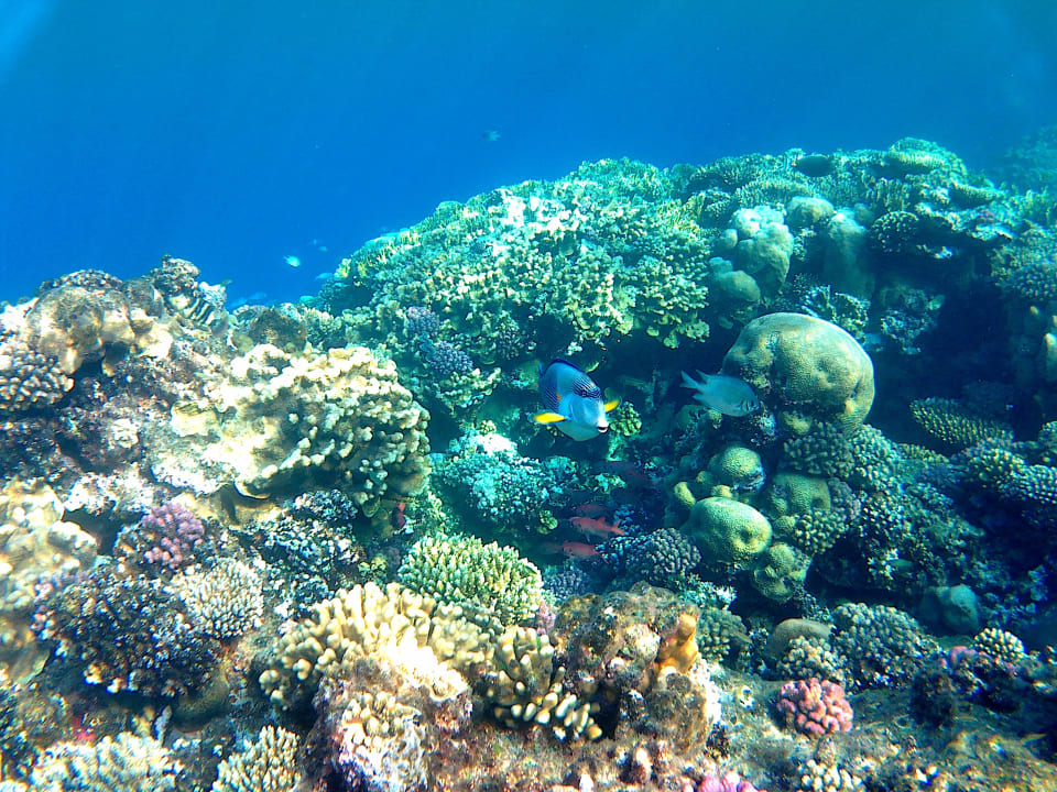 Strand Casa Mare Resort