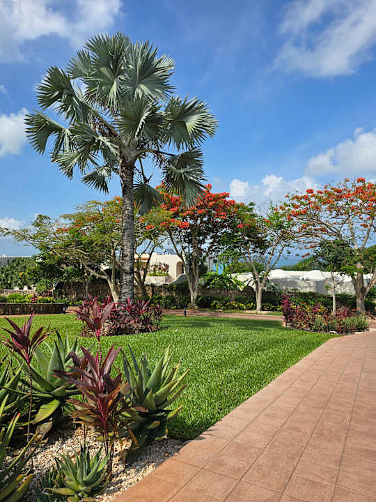 Gartenanlage Hotel Riu Palace Zanzibar