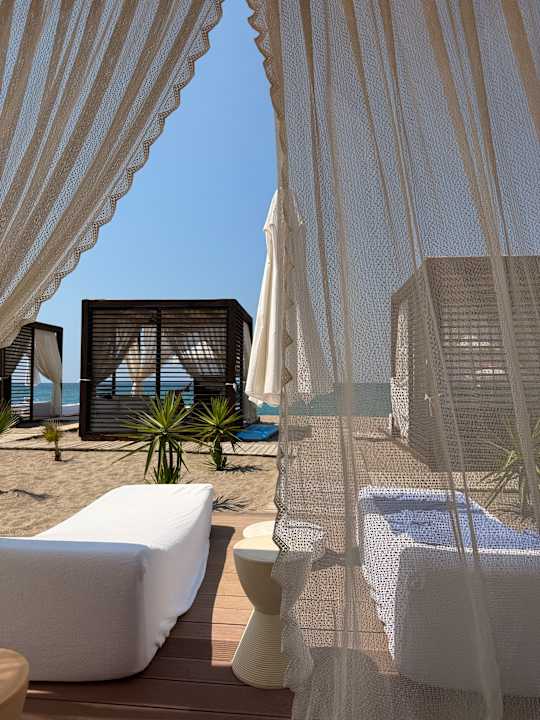 Strand TUI BLUE Palm Garden