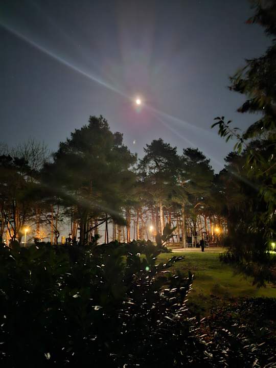 Ausblick IFA Rügen Hotel & Ferienpark
