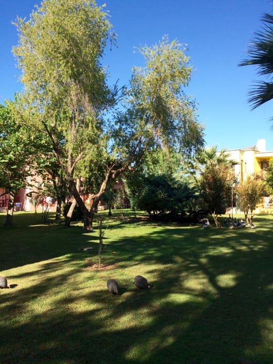 Gartenanlage VONRESORT Golden Beach