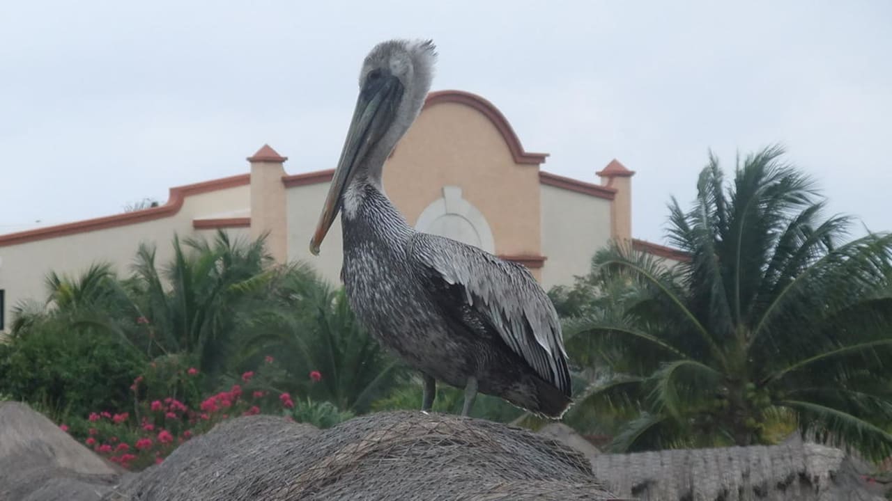 Hotelbewohner TRS Yucatan Hotel - Adults only