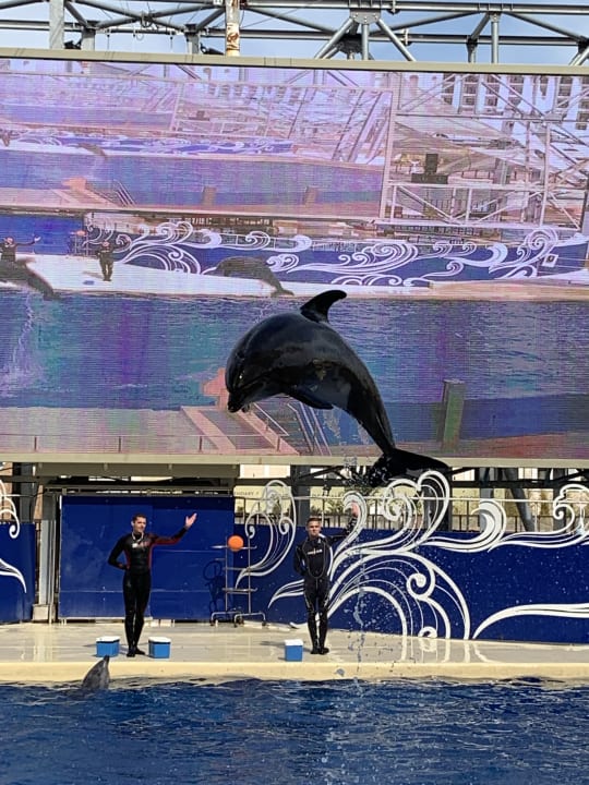 Sport & Freizeit The Land of Legends Kingdom Hotel