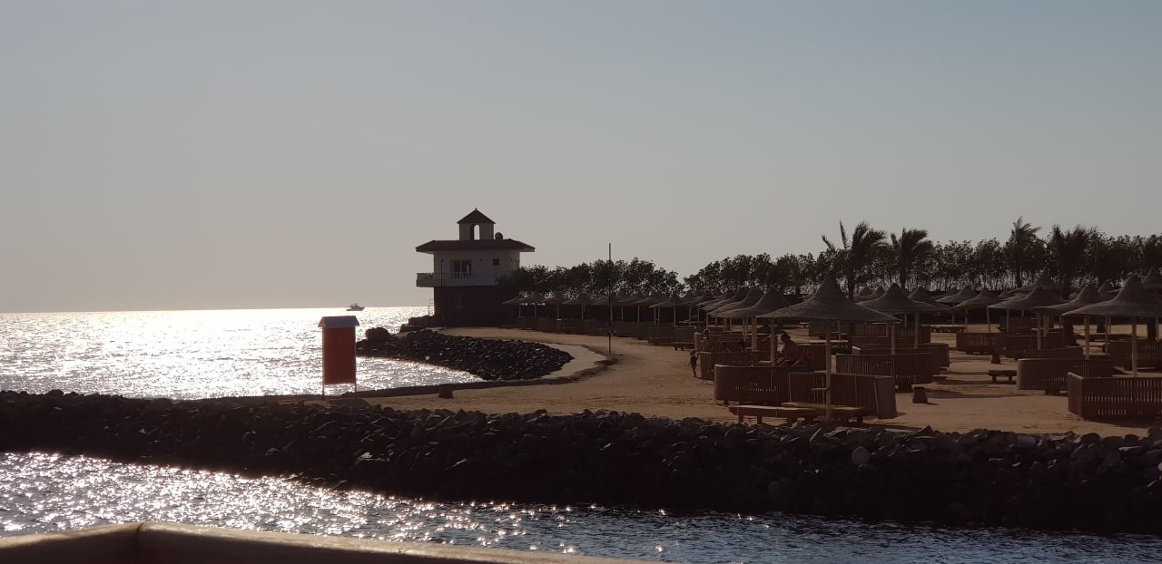 Ausblick Desert Rose