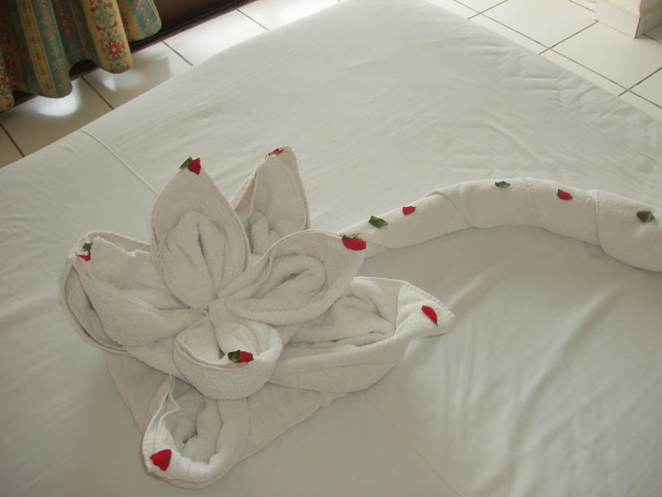 Blume vom lieben Roomcleaner Utopia Beach Club