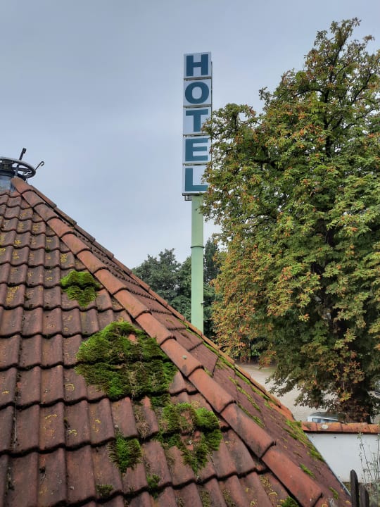 Ausblick Hotel Gremersdorf - Zum grünen Jäger