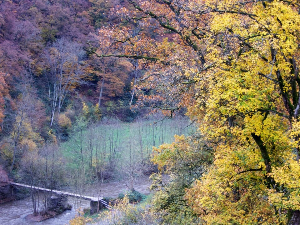 Omgeving Burg Eltz Hotel Hegenbarth´s