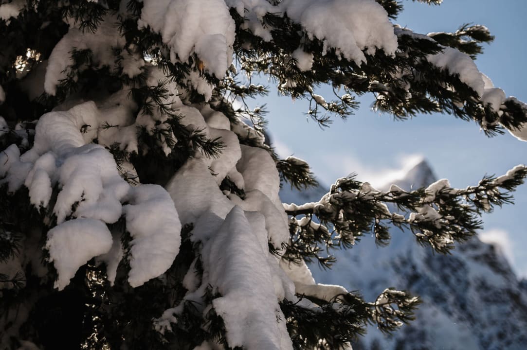 Ausblick Alpenhotel Heimspitze