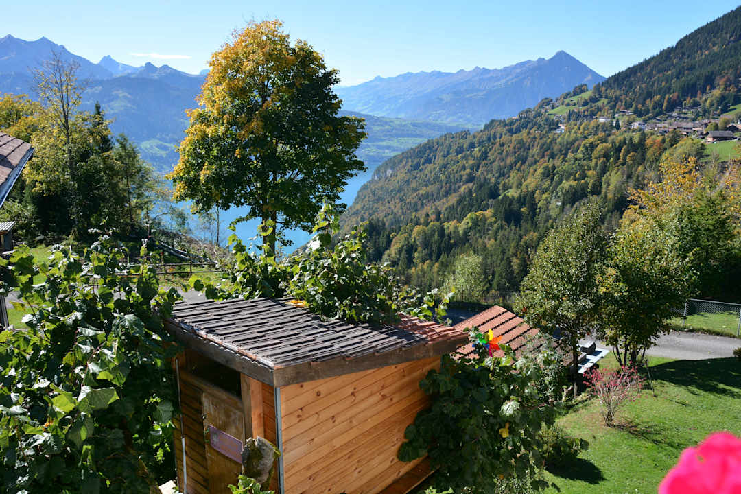 Ausblick Ula's Holiday Apartments