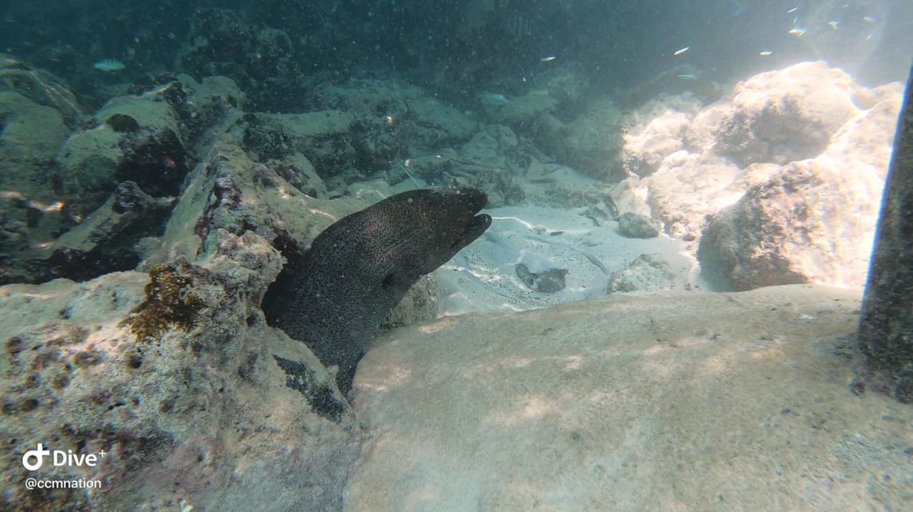 Sport & Freizeit Centara Ras Fushi Resort & Spa Maldives