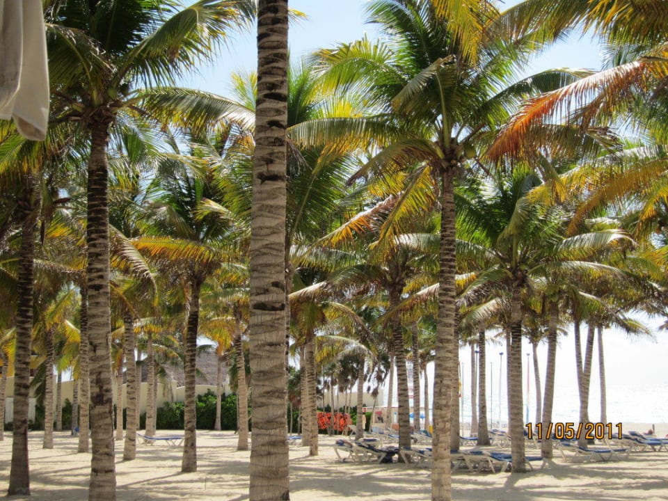 Beach Hotel Riu Palace Riviera Maya