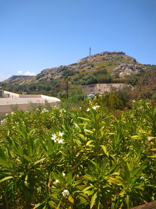 Gartenanlage Hotel Kalithea Mare Palace