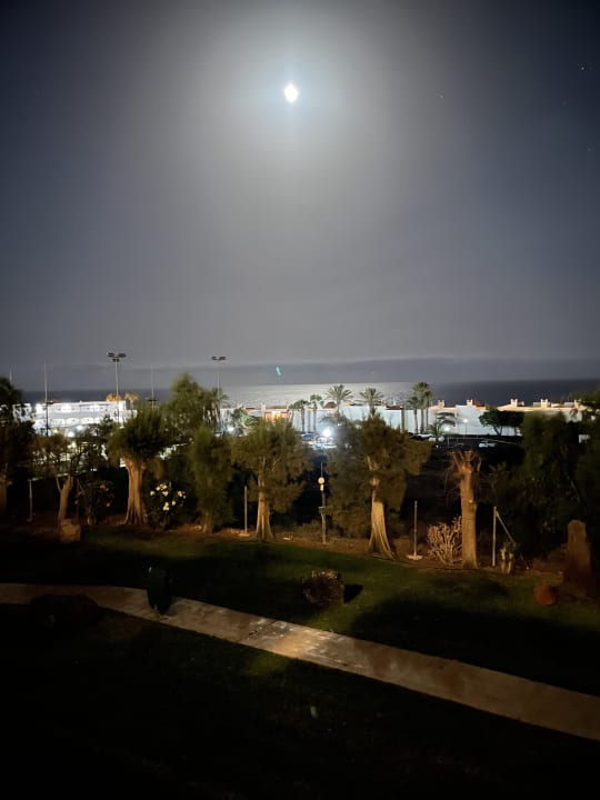 Ausblick allsun App.-Hotel Esquinzo Beach