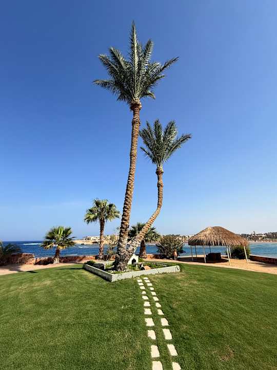 Gartenanlage Steigenberger Coraya Beach - Adults only