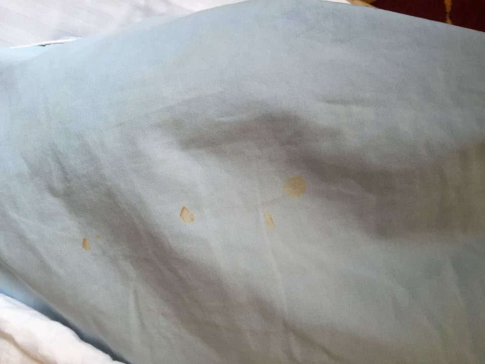 Kopfkissen Rugard Thermal Strandhotel