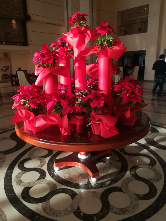 Lobby Tropitel Sahl Hasheesh