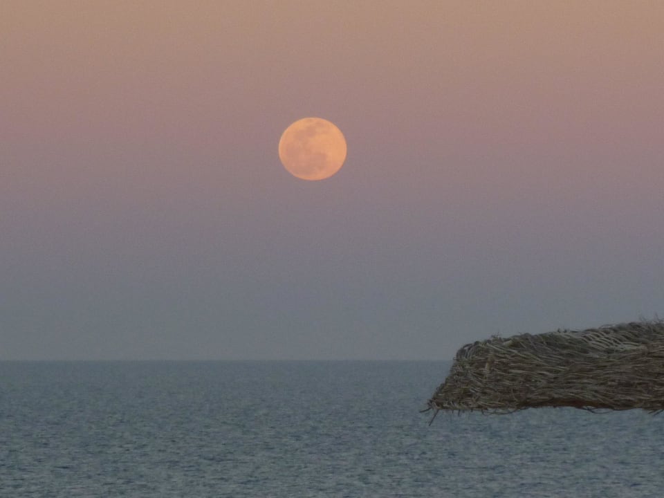 Vollmond Pickalbatros Citadel Resort