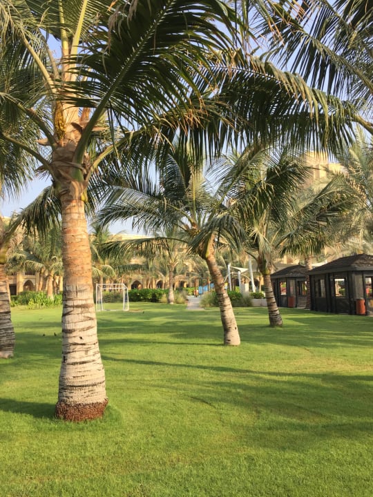 Gartenanlage DoubleTree by Hilton Resort & Spa Marjan Island