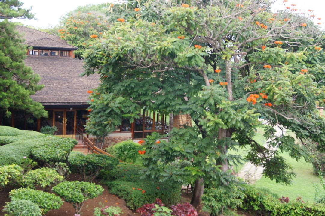 Blick von meinem Zimmer aufs Restaurant Manyara Wildlife Safari Camp