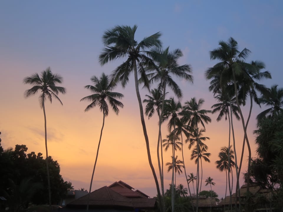 Gartenanlage Royal Palms Beach Hotel