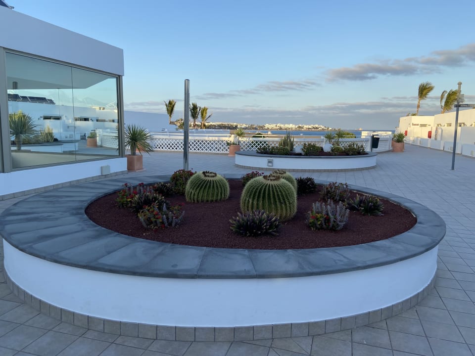 Gartenanlage Hotel Las Costas