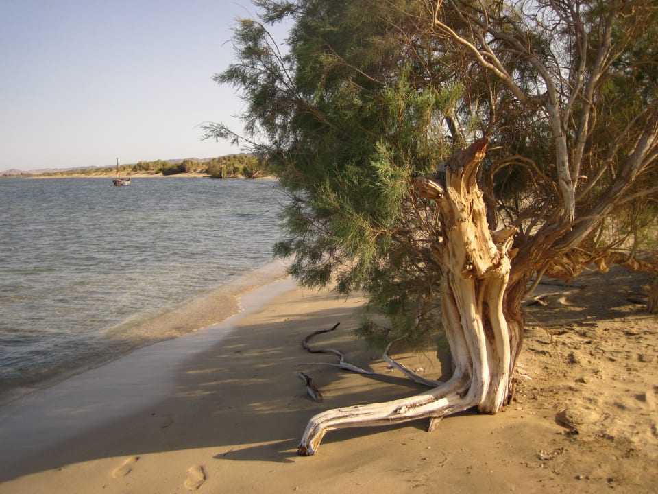 Strand Shams Alam Beach Resort