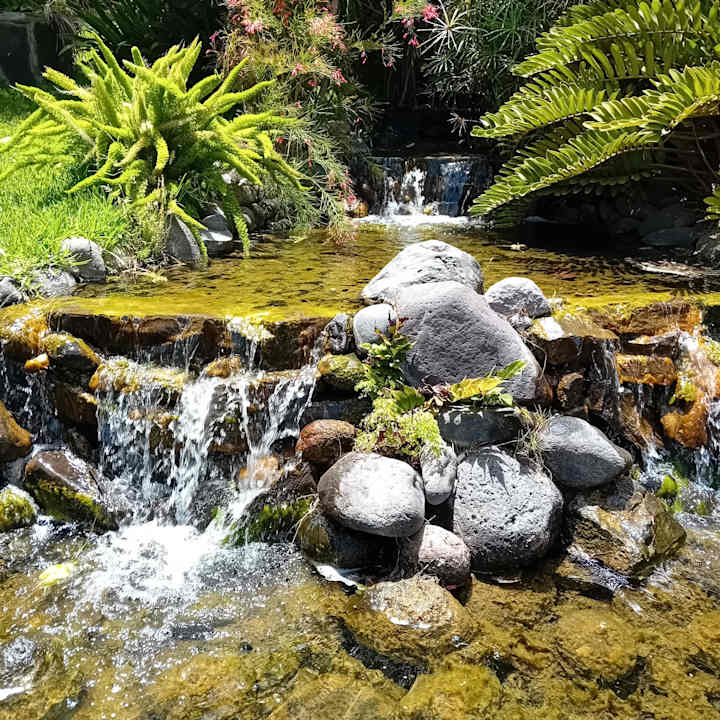 Gartenanlage allsun Hotel Lucana