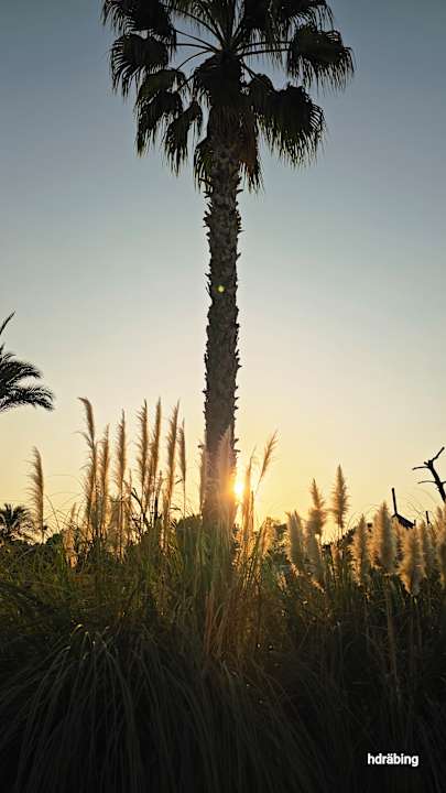 Gartenanlage Trendy Aspendos Beach Hotel
