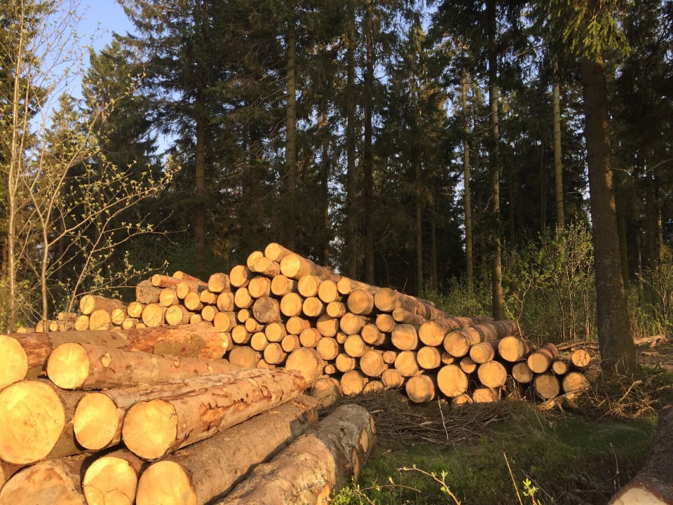 Gartenanlage Der schöne Asten - Resort Winterberg