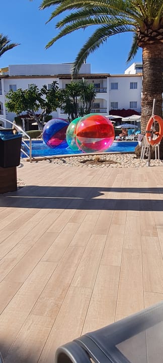 Pool Alcudia Garden Aparthotel