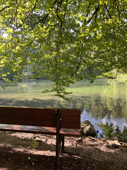 Außenansicht Hotel Am Badersee