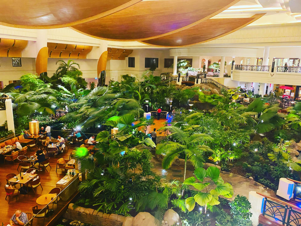 Gastro Grand Hyatt Dubai