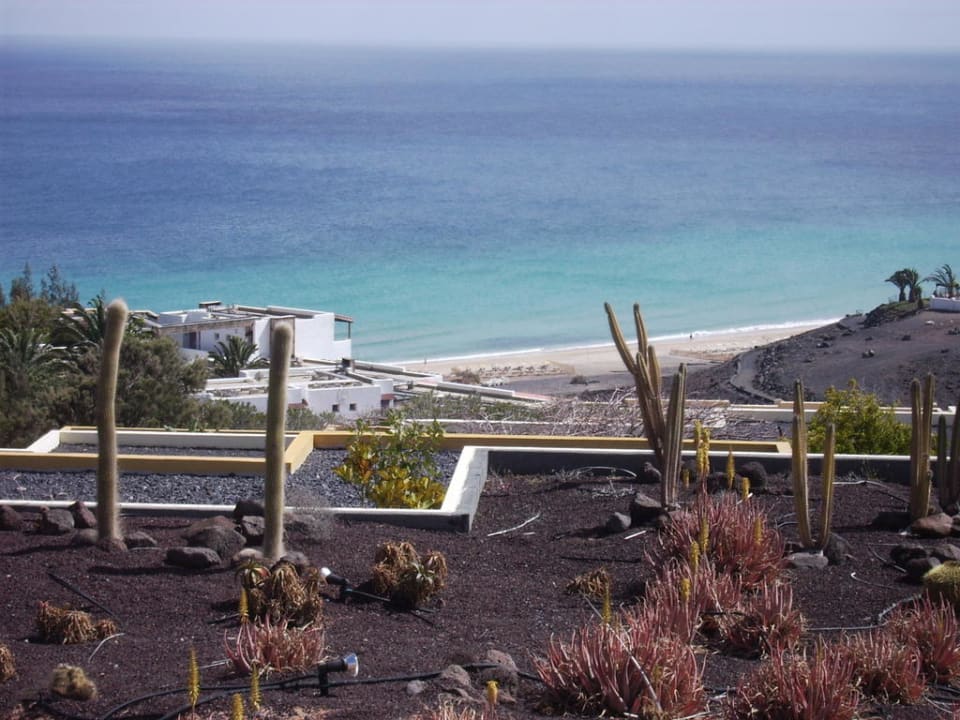 Blick zum Strand AluaVillage Fuerteventura