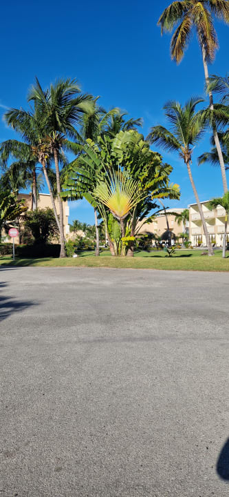 Gartenanlage TRS Turquesa Hotel - Adults only