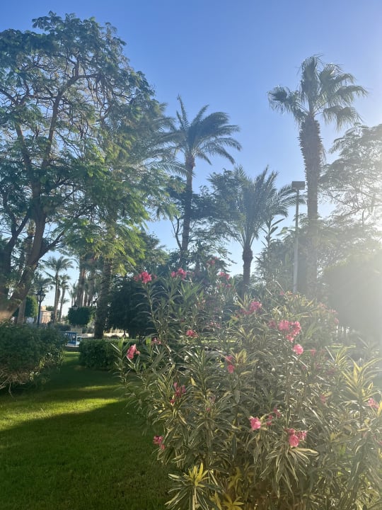 Gartenanlage The Grand Hotel Hurghada