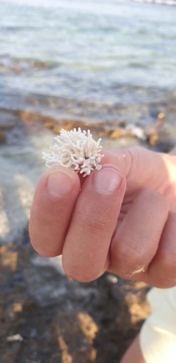 Strand Sentido Akassia Beach