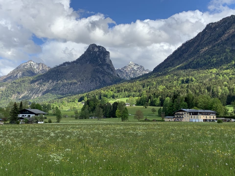 Ausblick Gasthof Wiesenhof