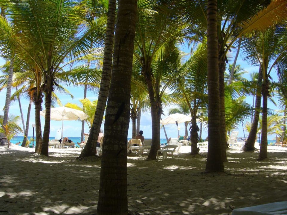strand des palace macao Hotel Riu Palace Macao - Adults only
