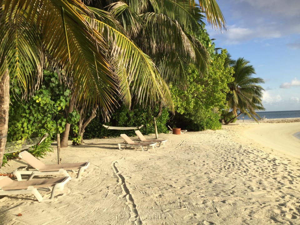 Strand vor den Beachvillen Veligandu Maldives Resort Island