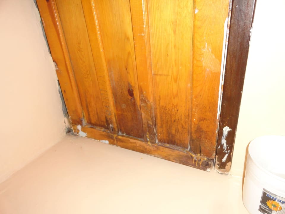 Badezimmer-Tür Clover Magic Nova Beach