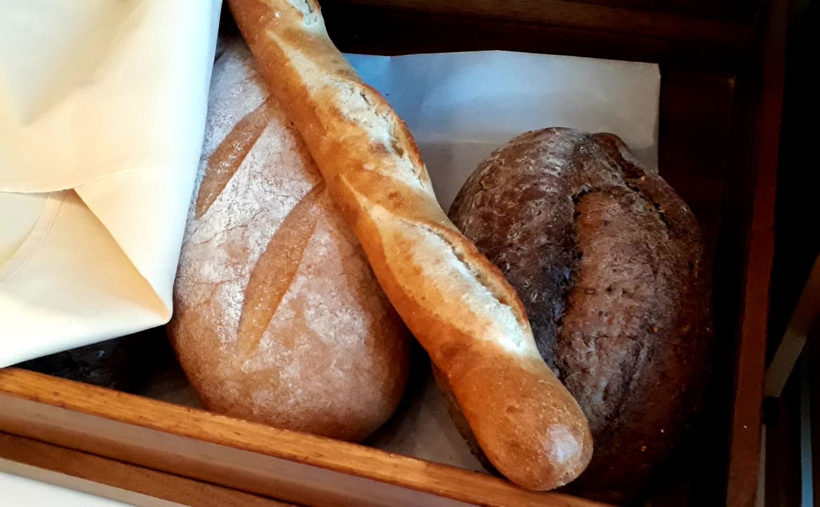 Gastro Downtown Rotana