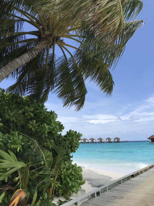 Strand ROBINSON MALDIVES
