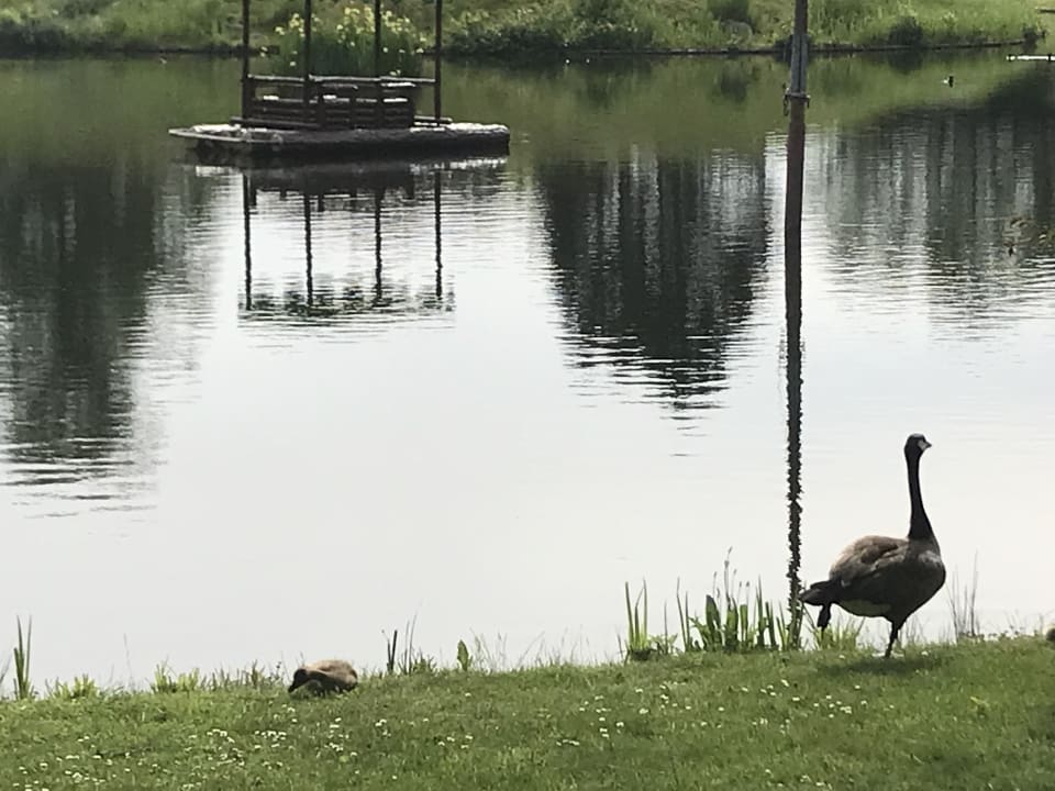 Gartenanlage Heide Park Abenteuerhotel