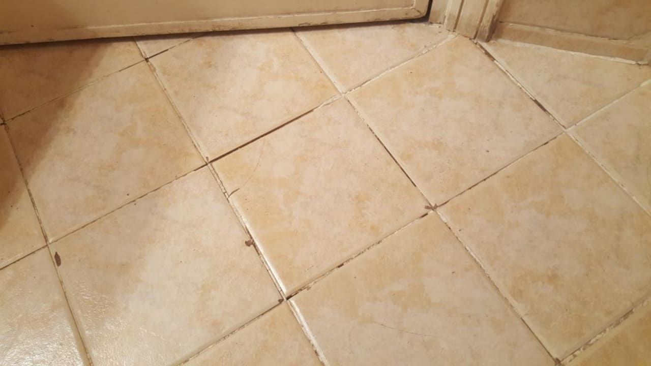 Zimmer Ghazala Gardens